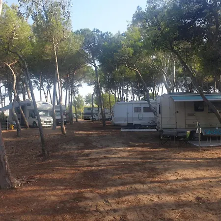 Agricampeggio La Pineta Lesina Exterior foto