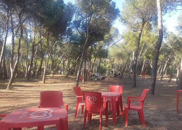 Agricampeggio La Pineta