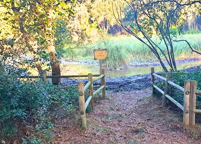 Agricampeggio La Pineta