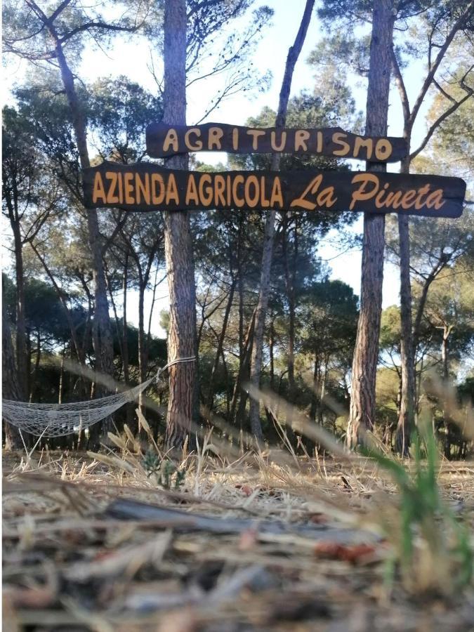 Agricampeggio La Pineta Lesina