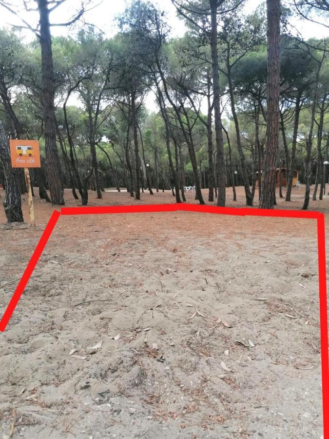 Agricampeggio La Pineta Campsite