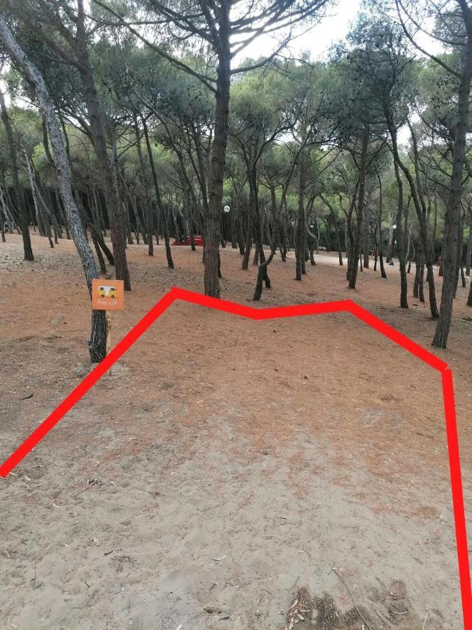 Agricampeggio La Pineta *