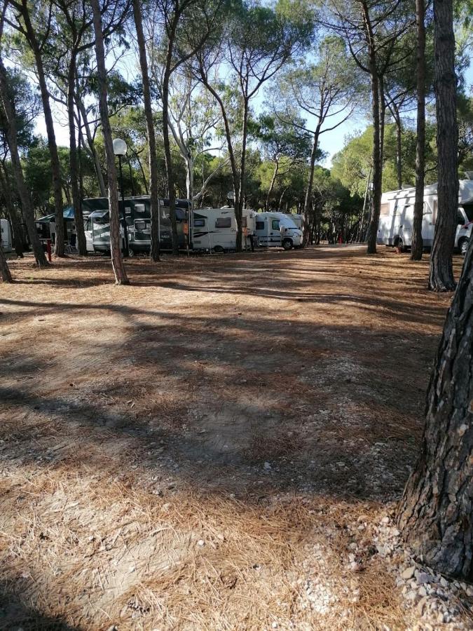 Agricampeggio La Pineta Camping