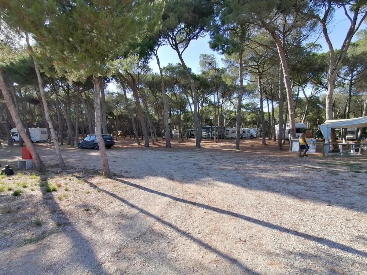 Camping Agricampeggio La Pineta