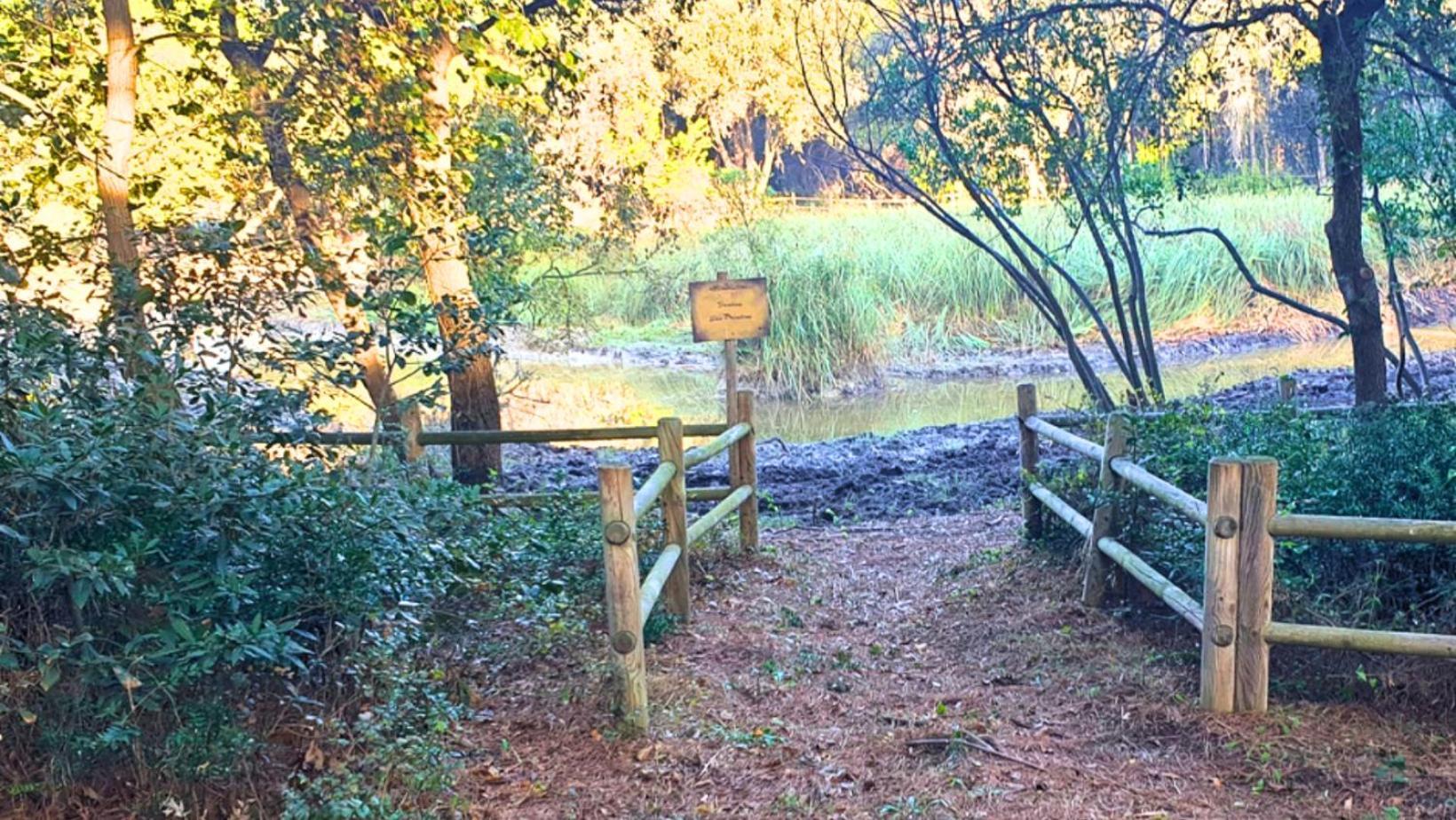 Campsite Agricampeggio La Pineta *
