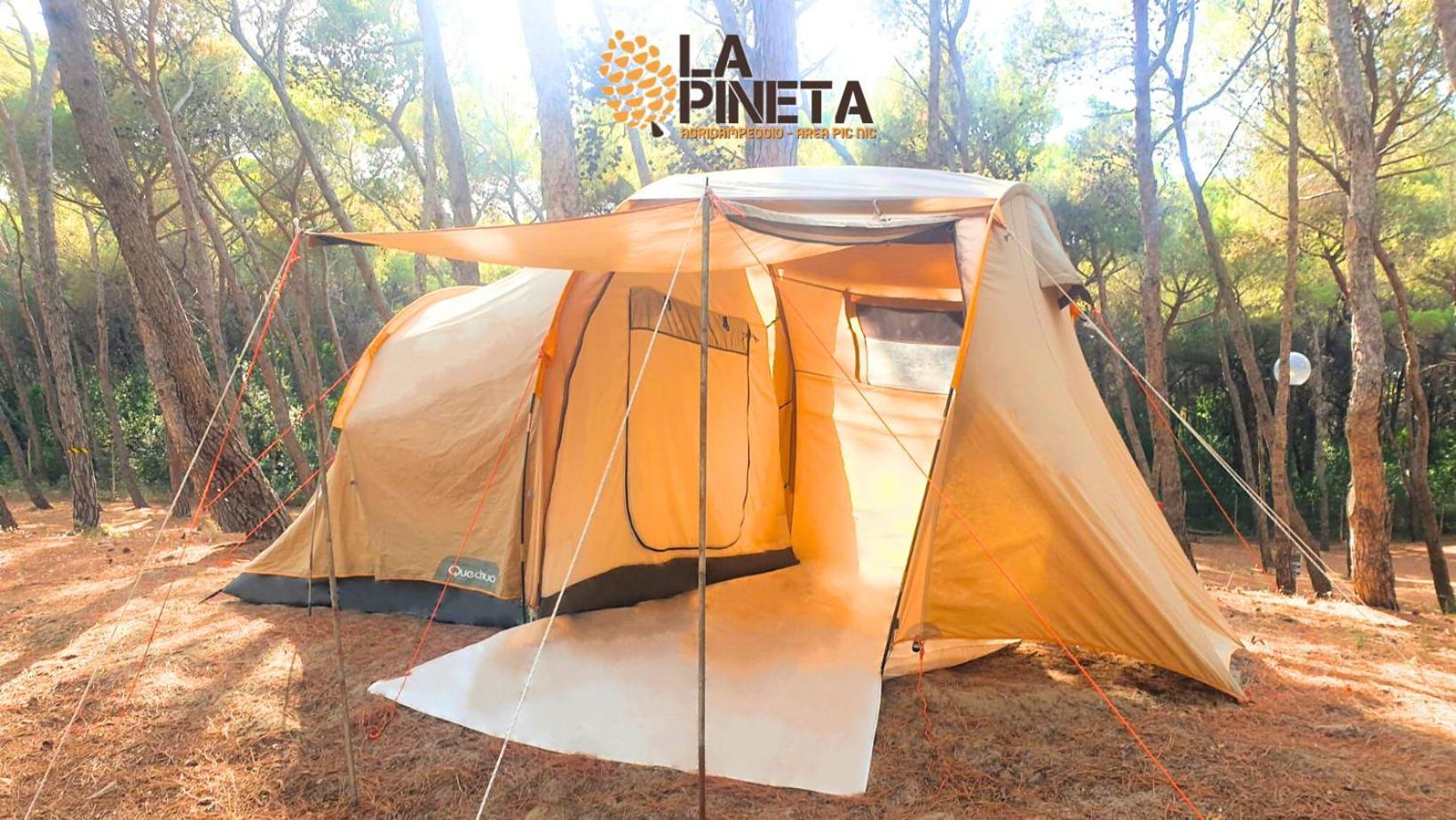 Agricampeggio La Pineta Campsite *