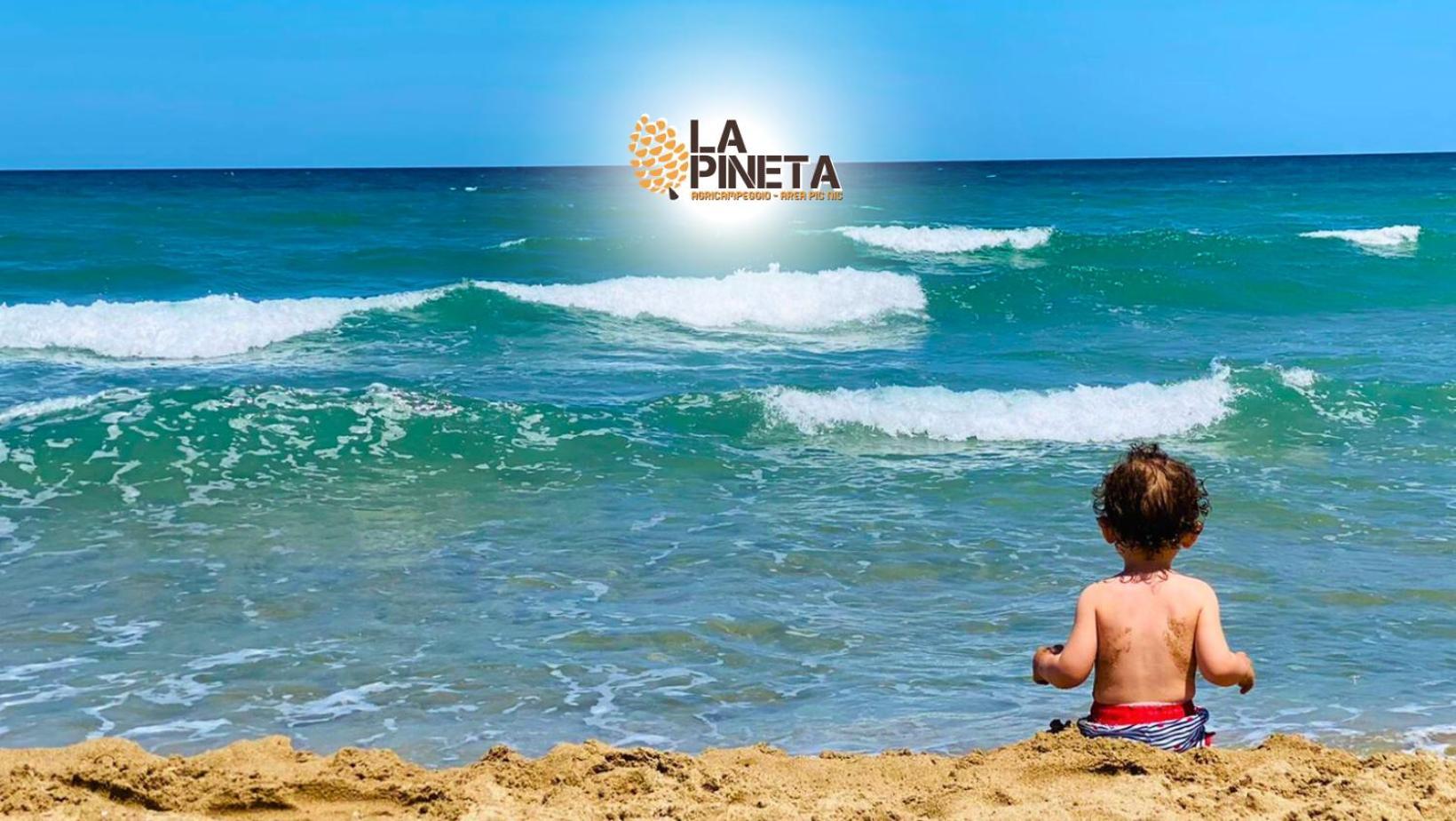 Agricampeggio La Pineta Campsite Lesina