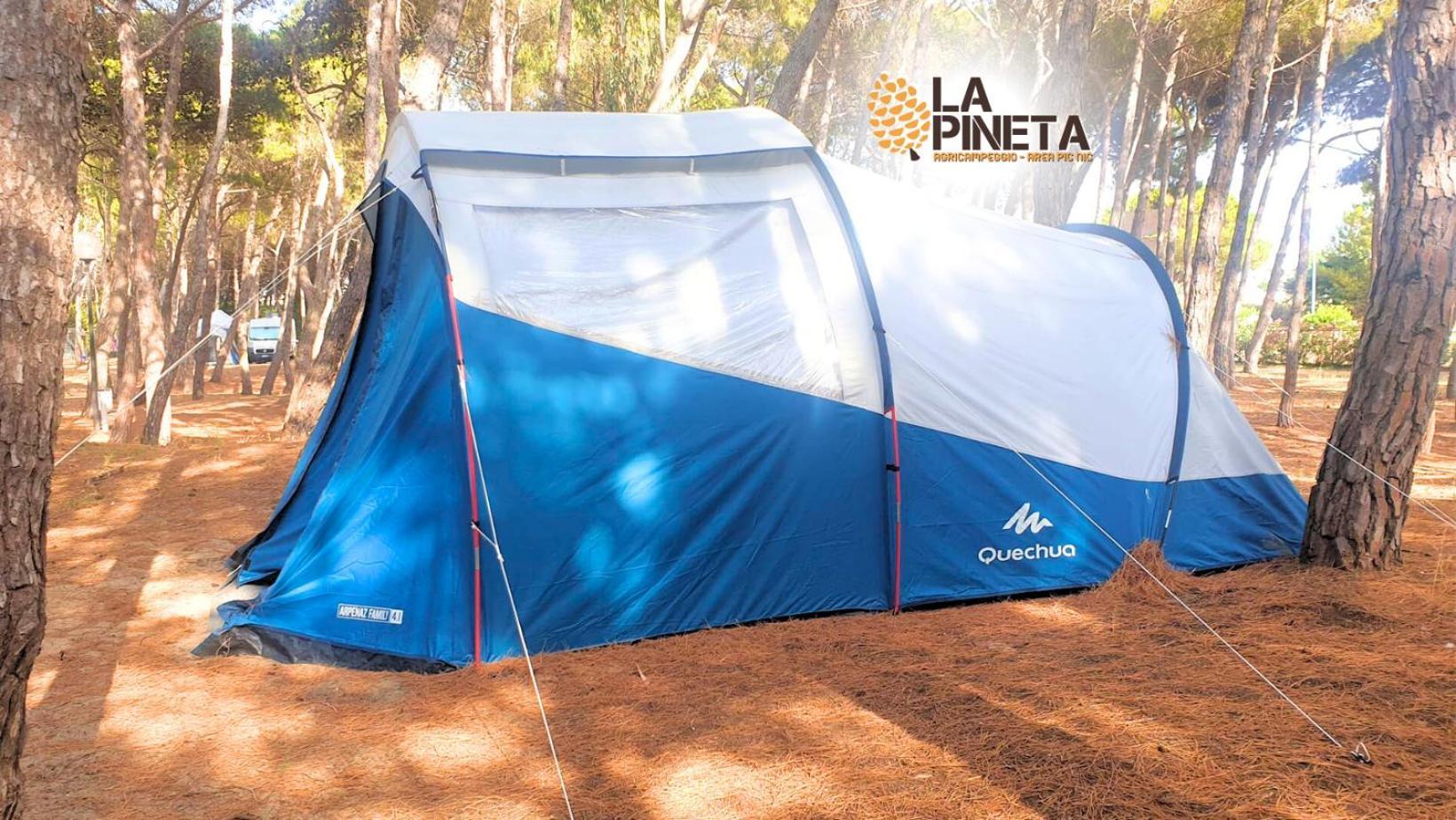 Agricampeggio La Pineta Camping