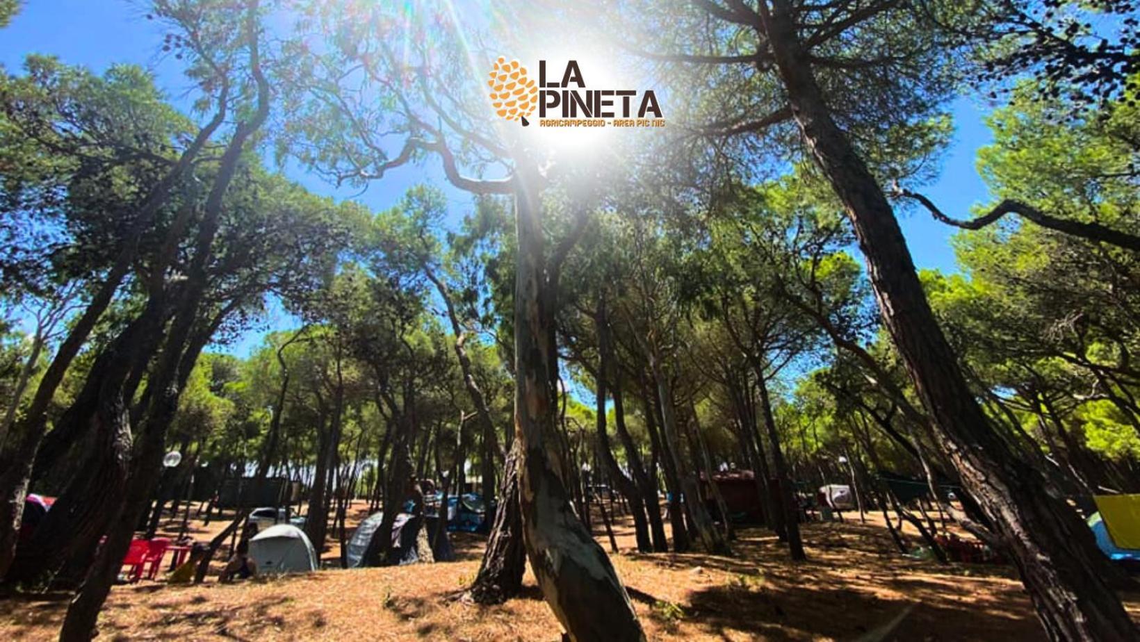 Agricampeggio La Pineta Campsite Lesina